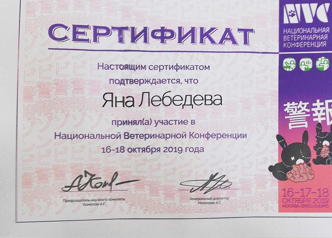Документ или сертификат