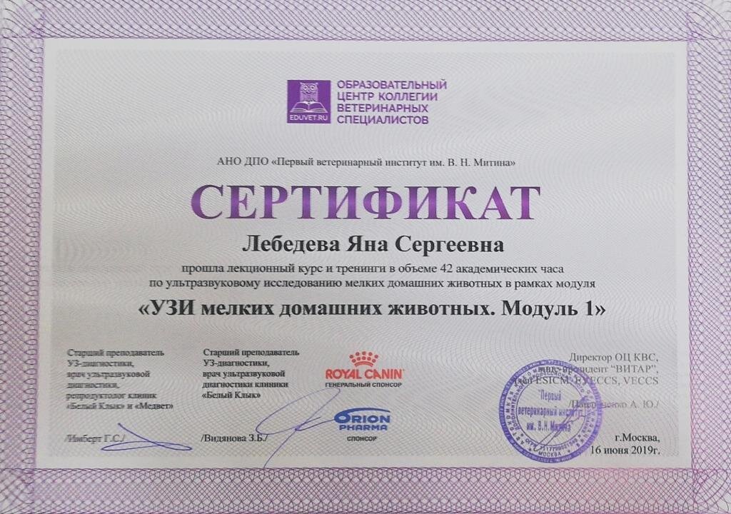 Документ или сертификат
