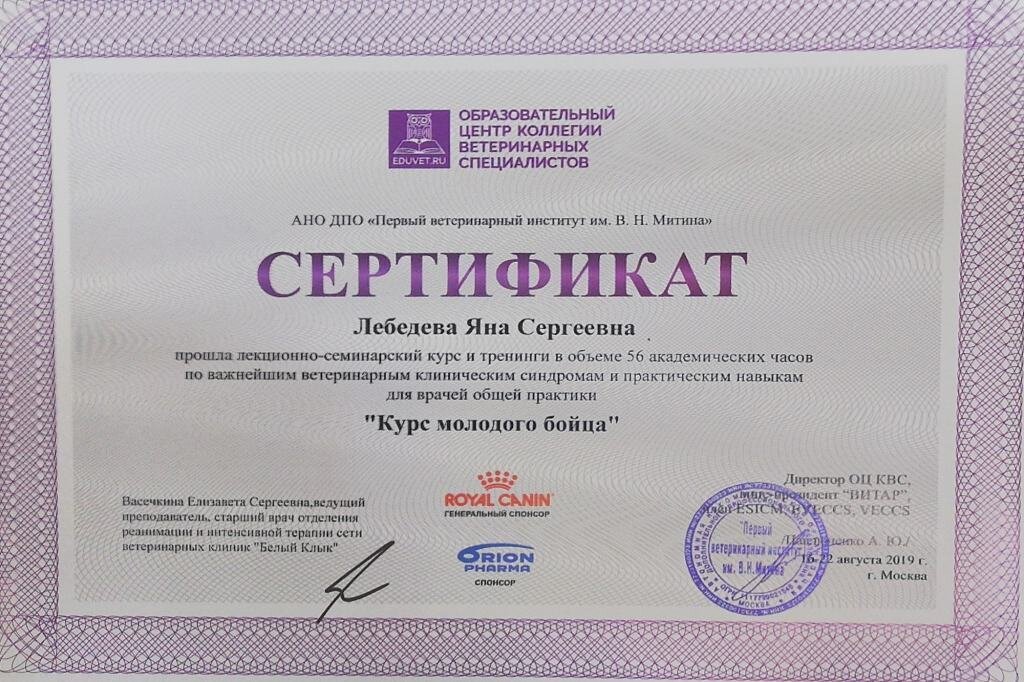Документ или сертификат