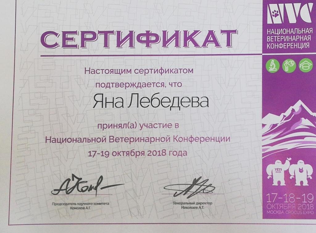 Документ или сертификат