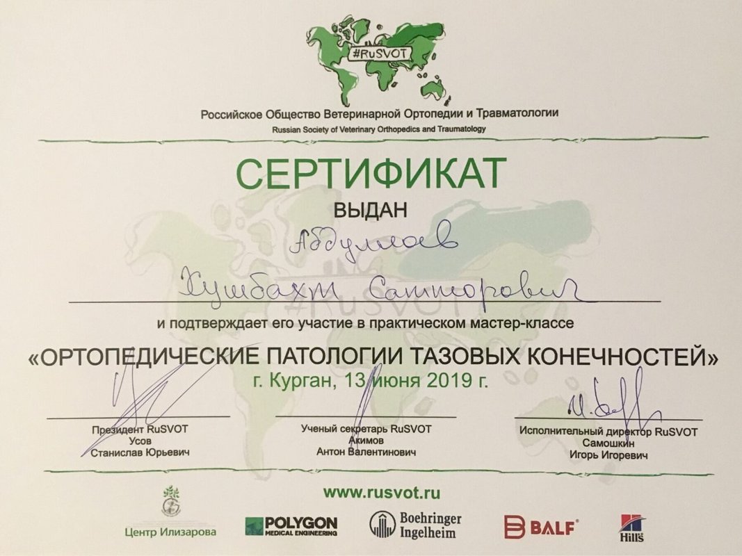 Документ или сертификат
