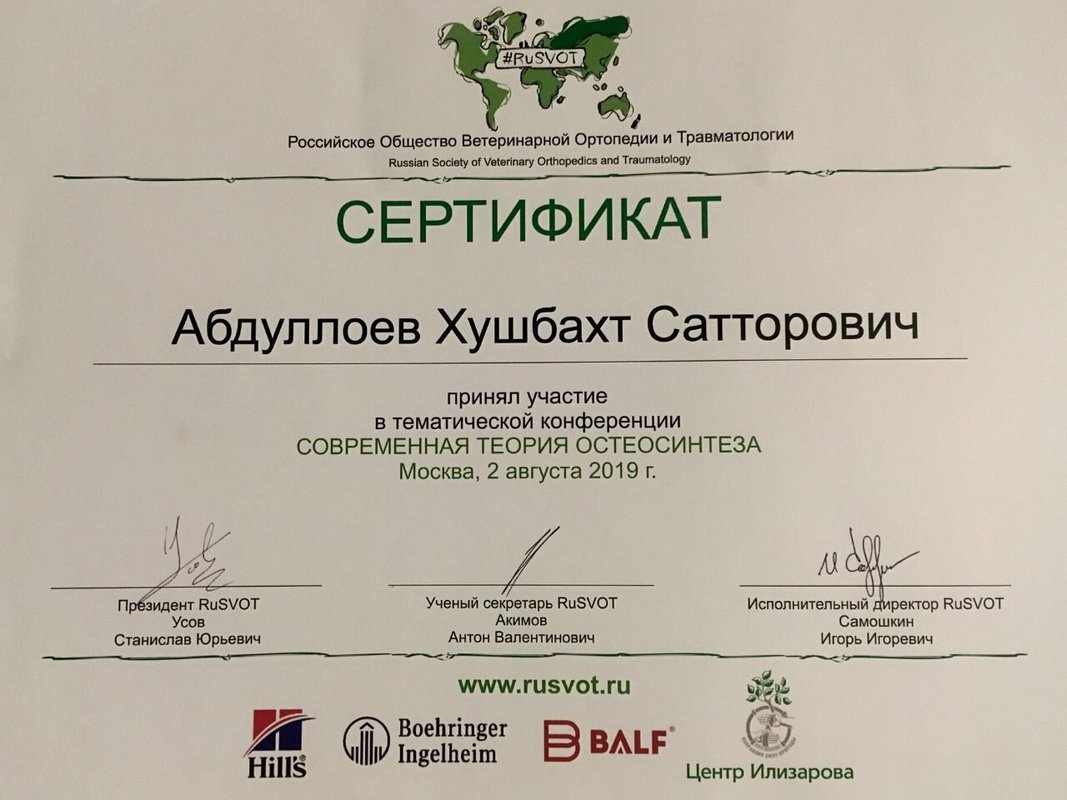 Документ или сертификат