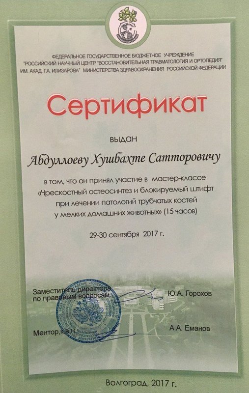 Документ или сертификат