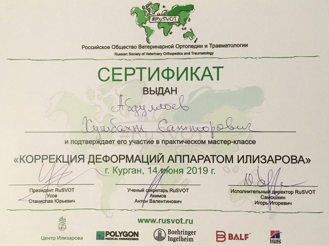 Документ или сертификат