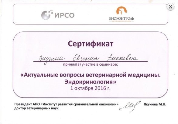 Документ или сертификат