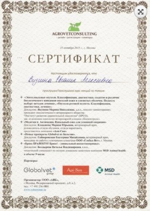 Документ или сертификат