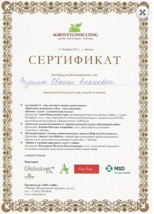 Документ или сертификат
