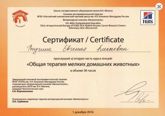 Документ или сертификат