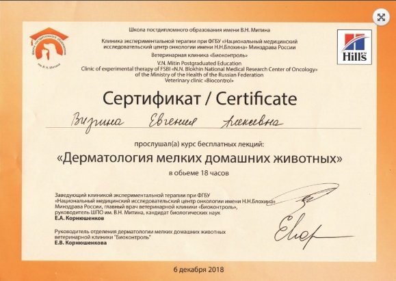 Документ или сертификат