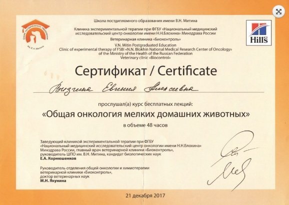 Документ или сертификат