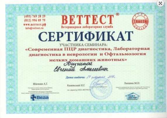 Документ или сертификат