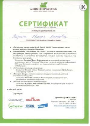 Документ или сертификат