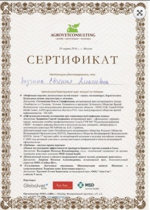 Документ или сертификат
