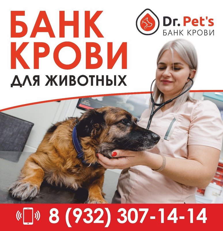 Фото врача