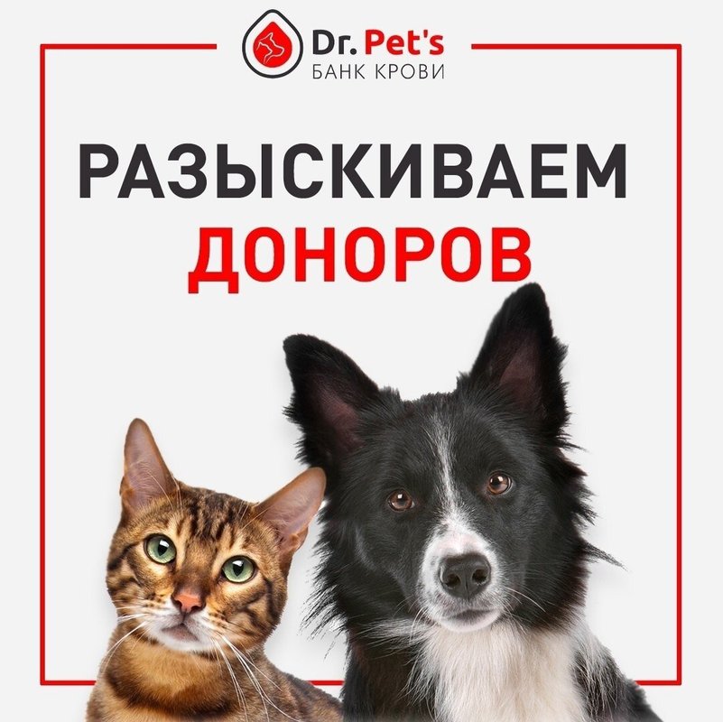 Фото врача