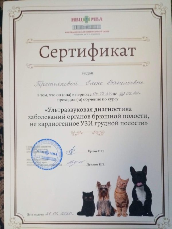Документ или сертификат