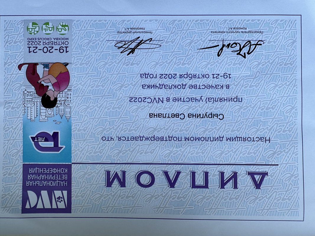 Документ или сертификат