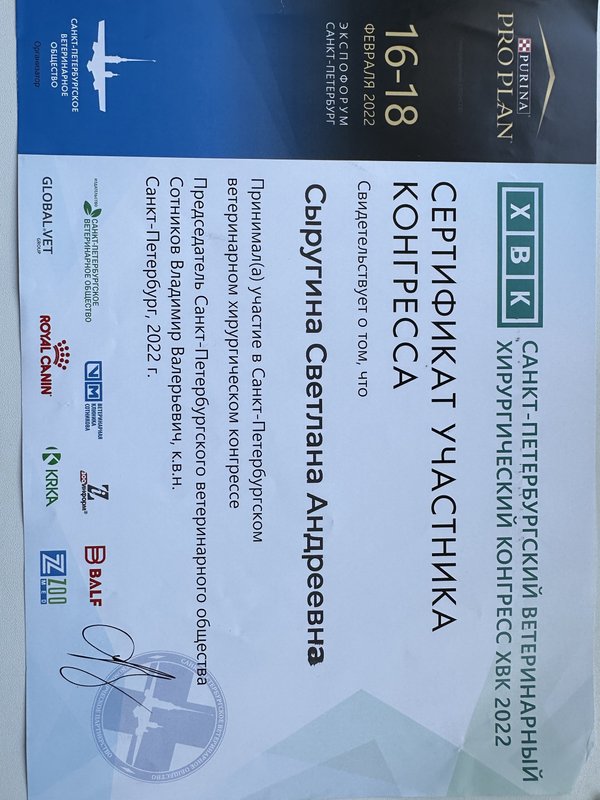 Документ или сертификат