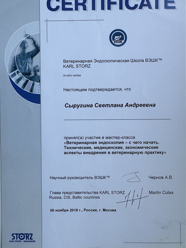 Документ или сертификат