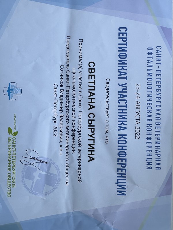 Документ или сертификат