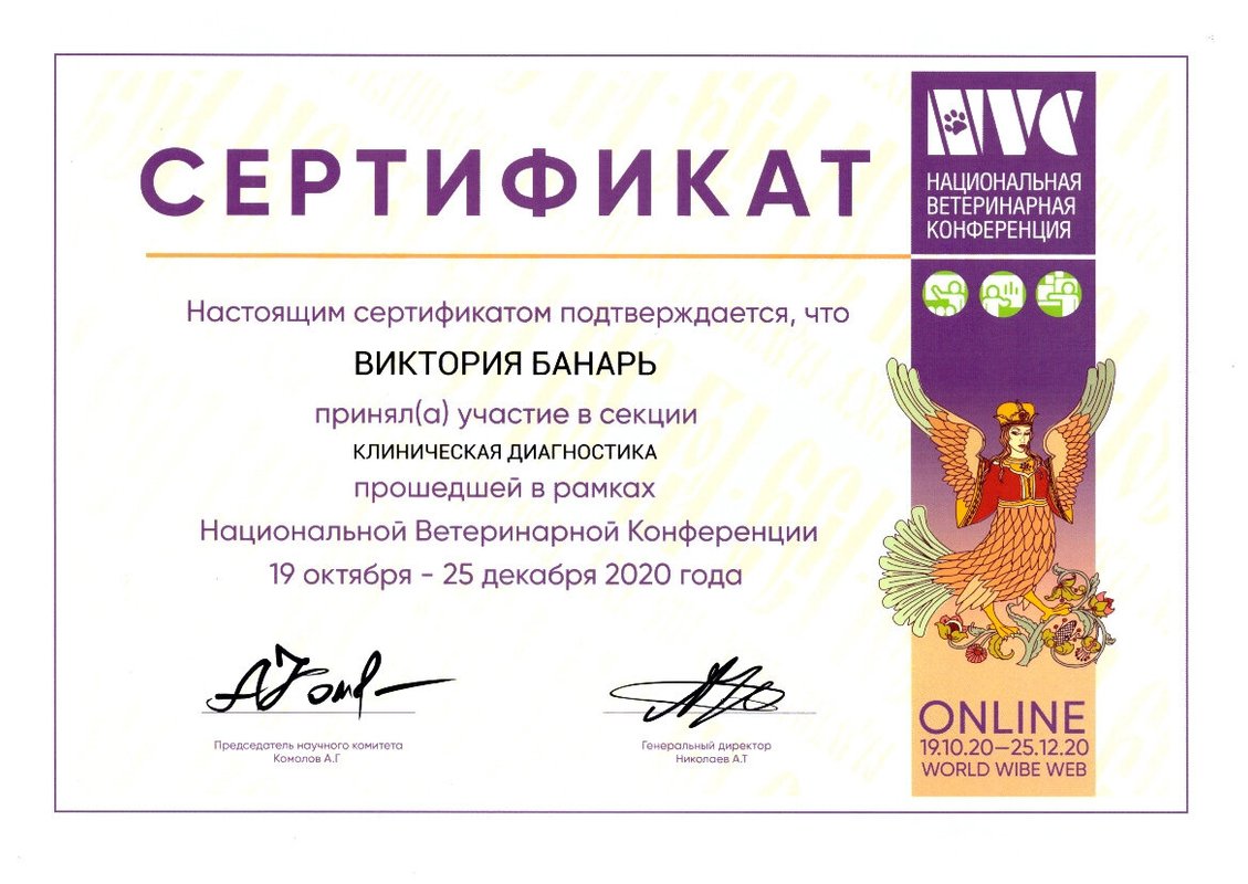 Документ или сертификат
