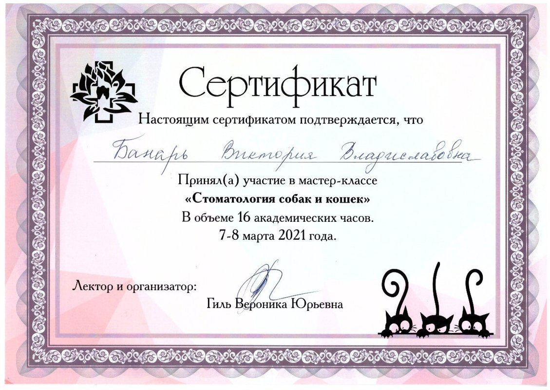 Документ или сертификат