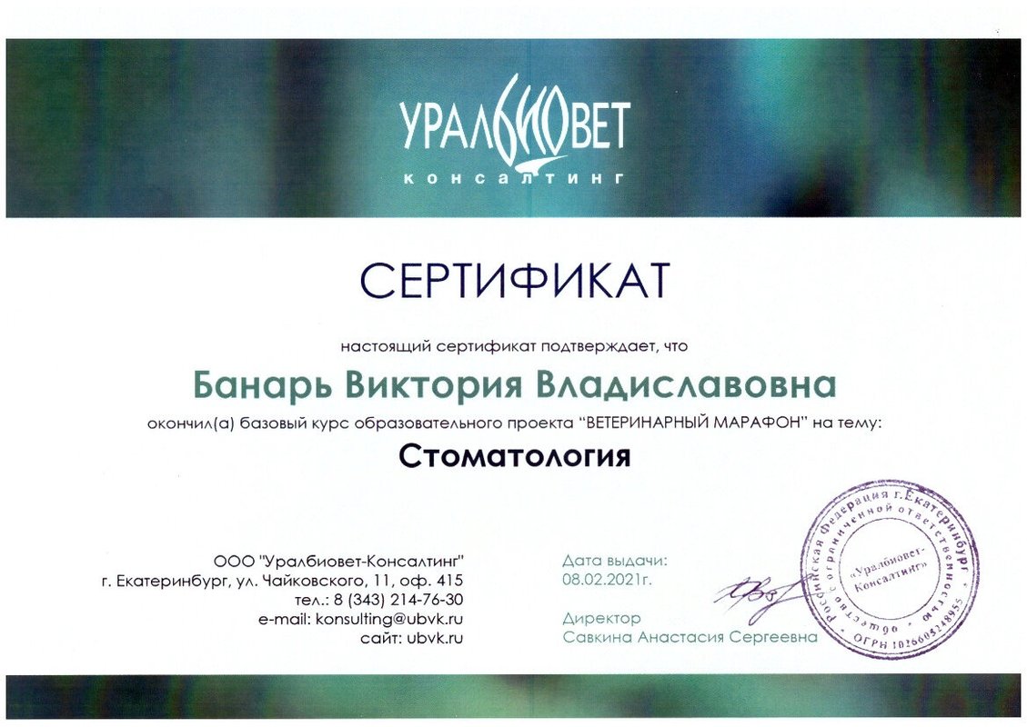 Документ или сертификат