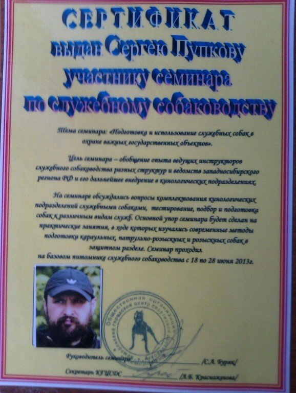 Документ или сертификат