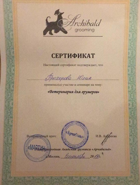 Документ или сертификат