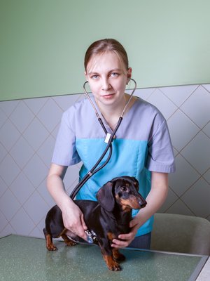 Фото врача Цибина Юлия Владимировна