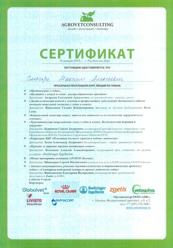 Документ или сертификат