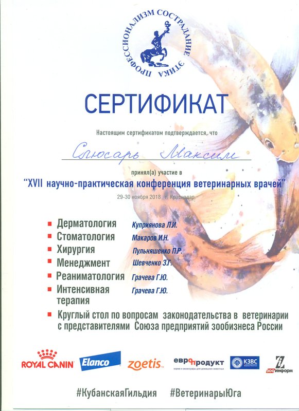 Документ или сертификат
