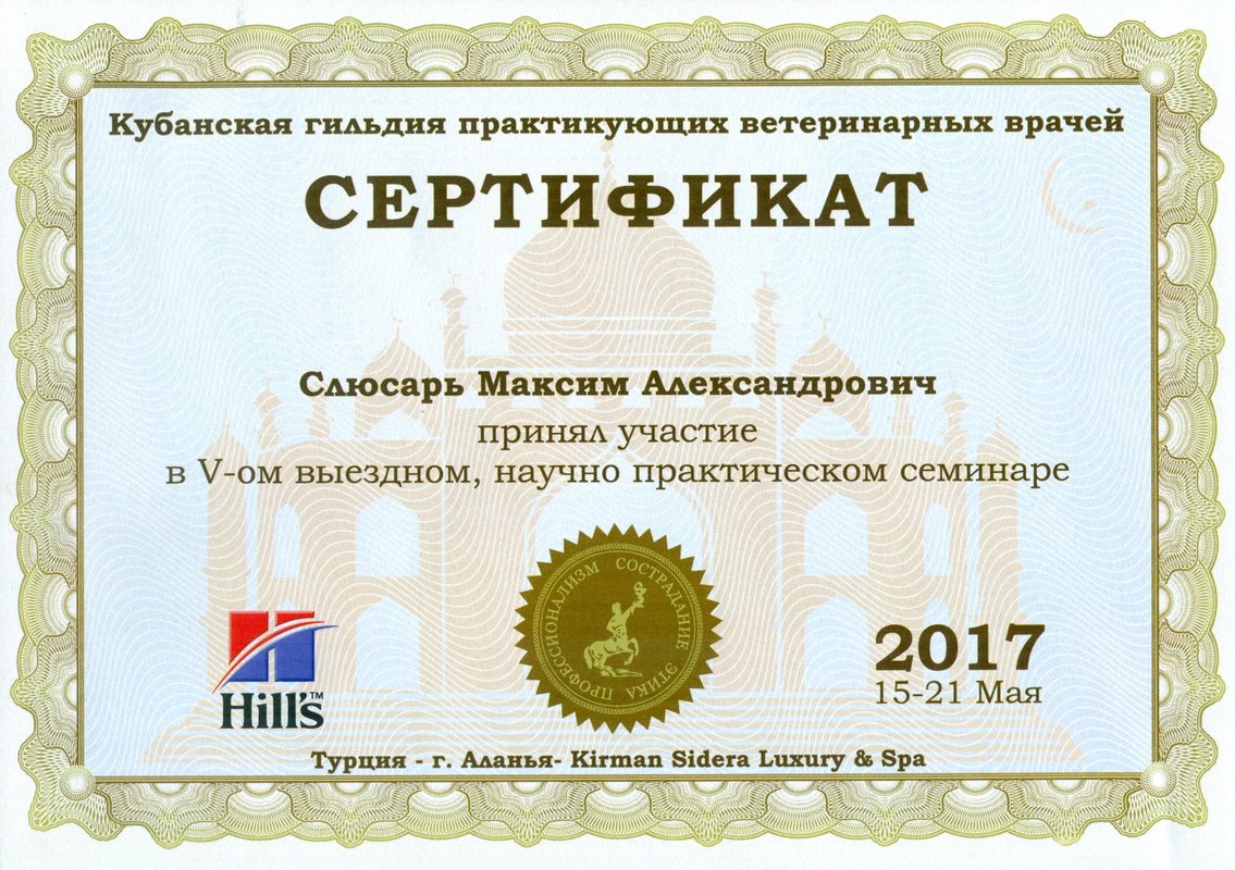 Документ или сертификат