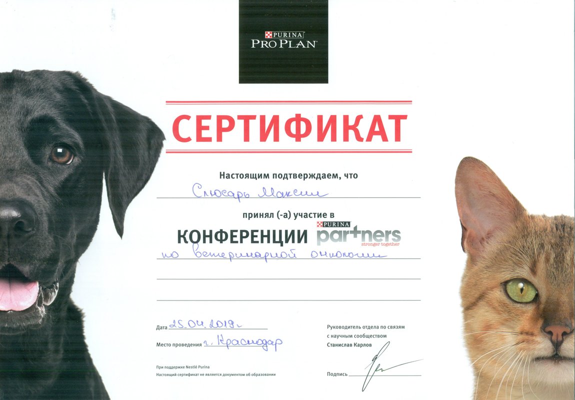 Документ или сертификат