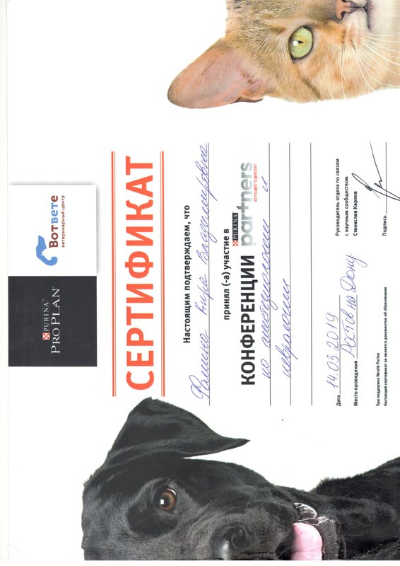 Документ или сертификат