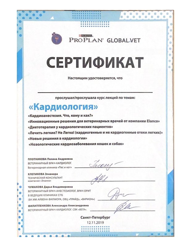 Документ или сертификат