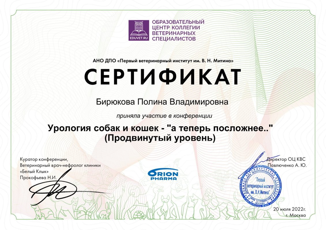 Документ или сертификат