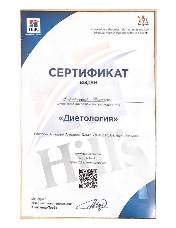 Документ или сертификат