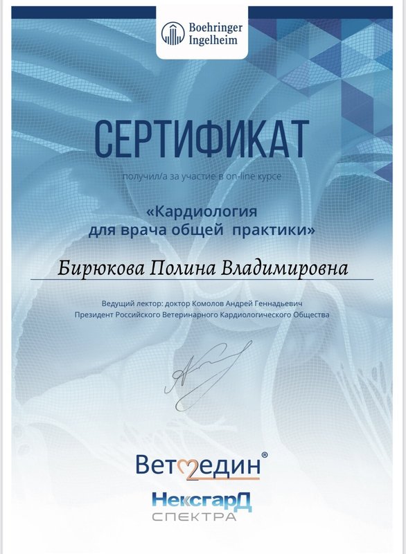 Документ или сертификат