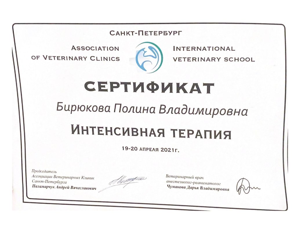 Документ или сертификат