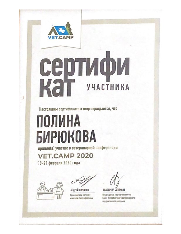 Документ или сертификат