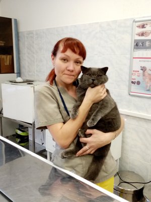 Фото врача Ершова Наталья Вячеславовна