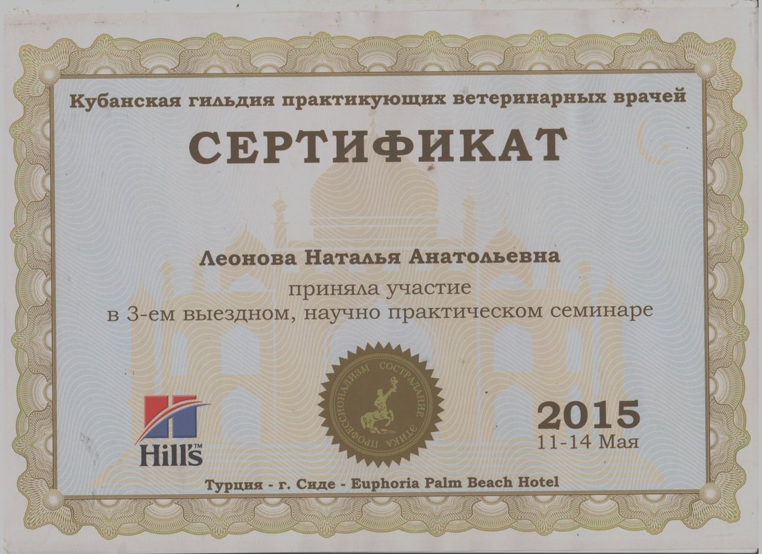 Документ или сертификат