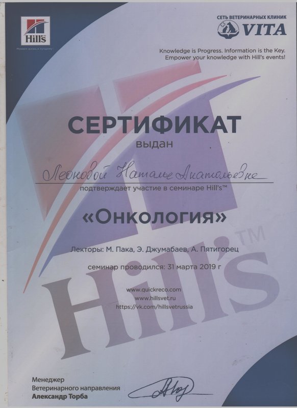 Документ или сертификат