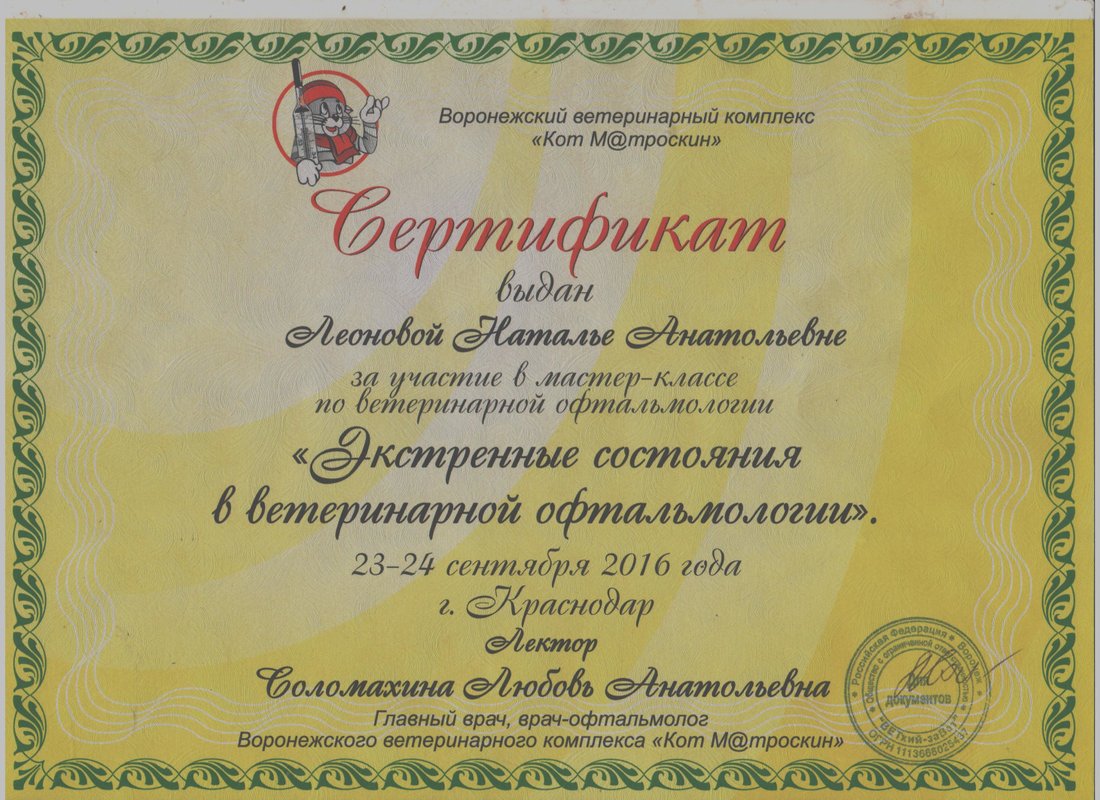 Документ или сертификат