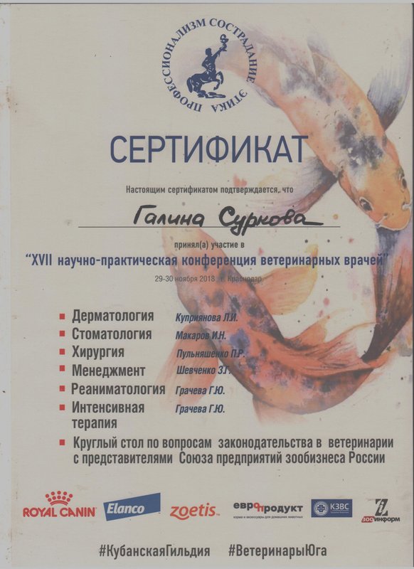 Документ или сертификат