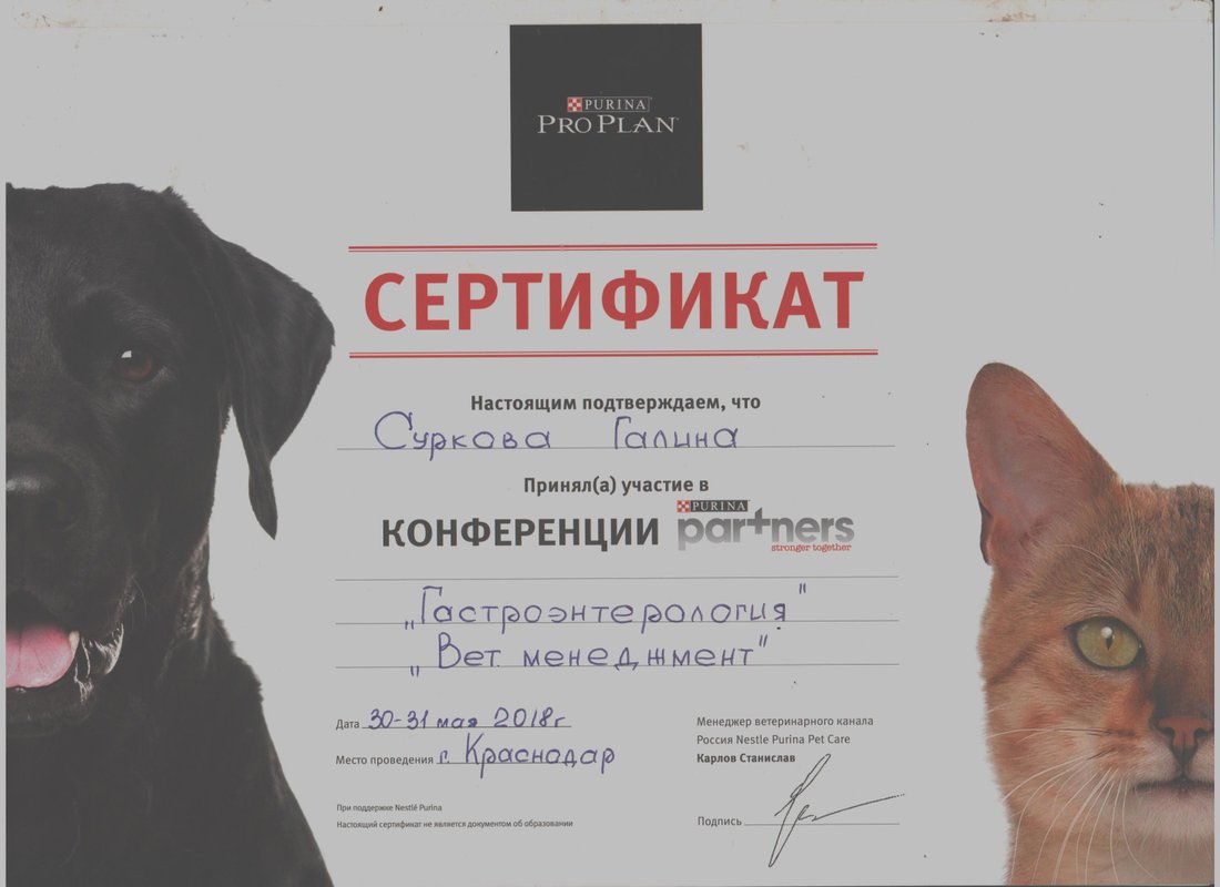 Документ или сертификат