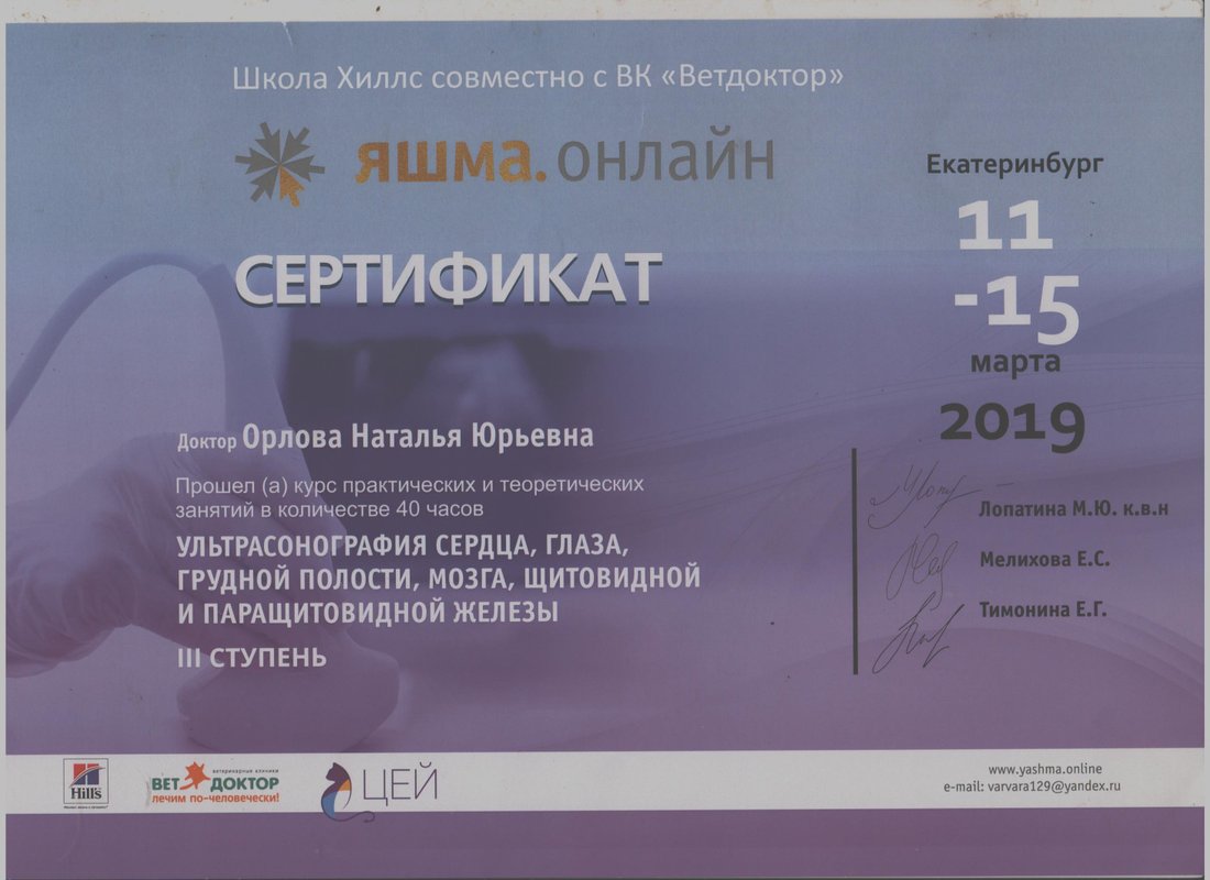 Документ или сертификат