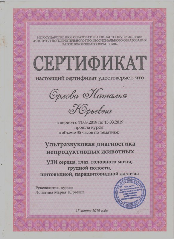 Документ или сертификат
