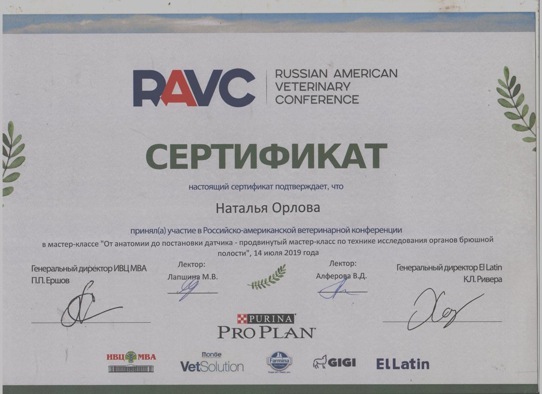 Документ или сертификат